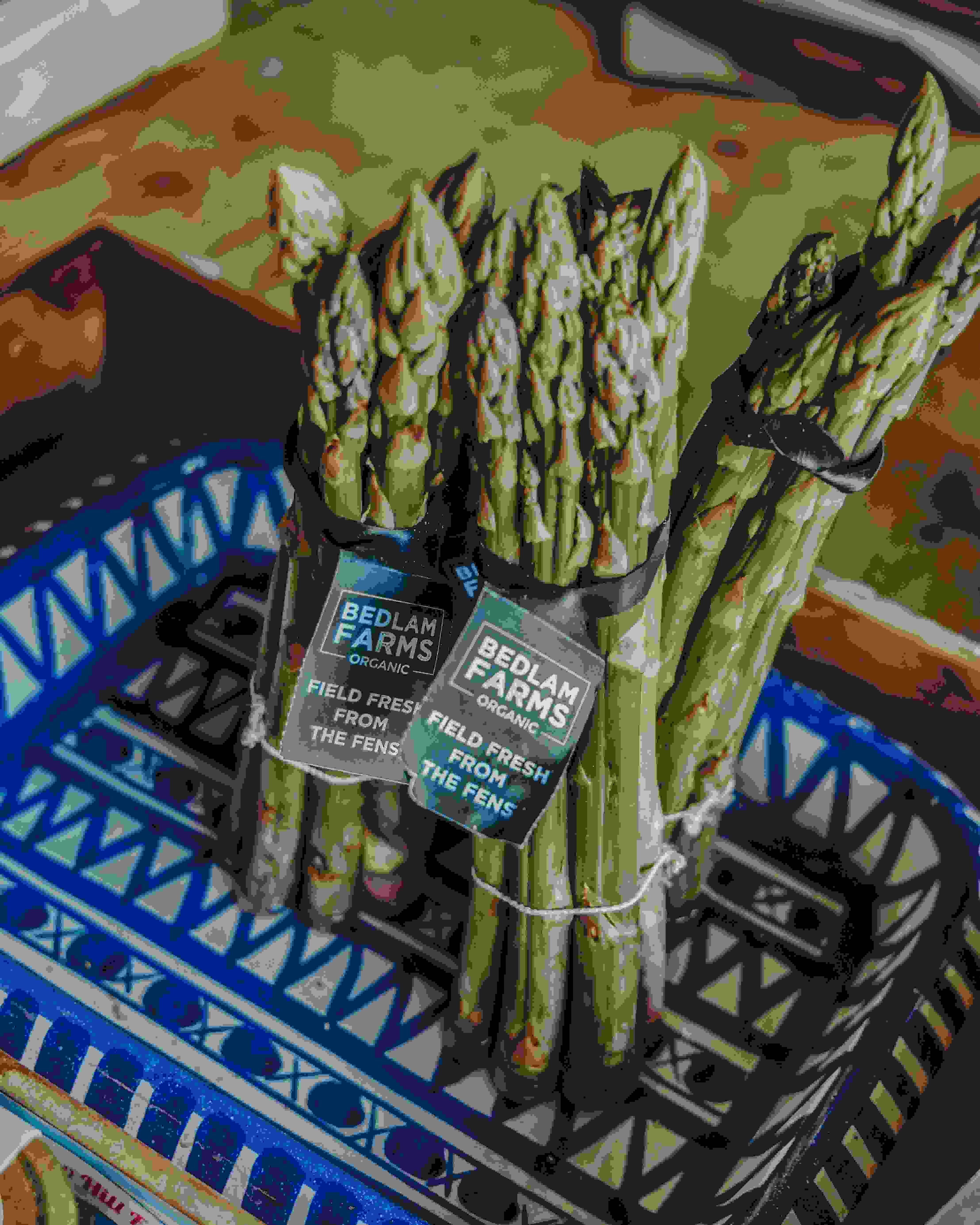 Bunches of asparagus