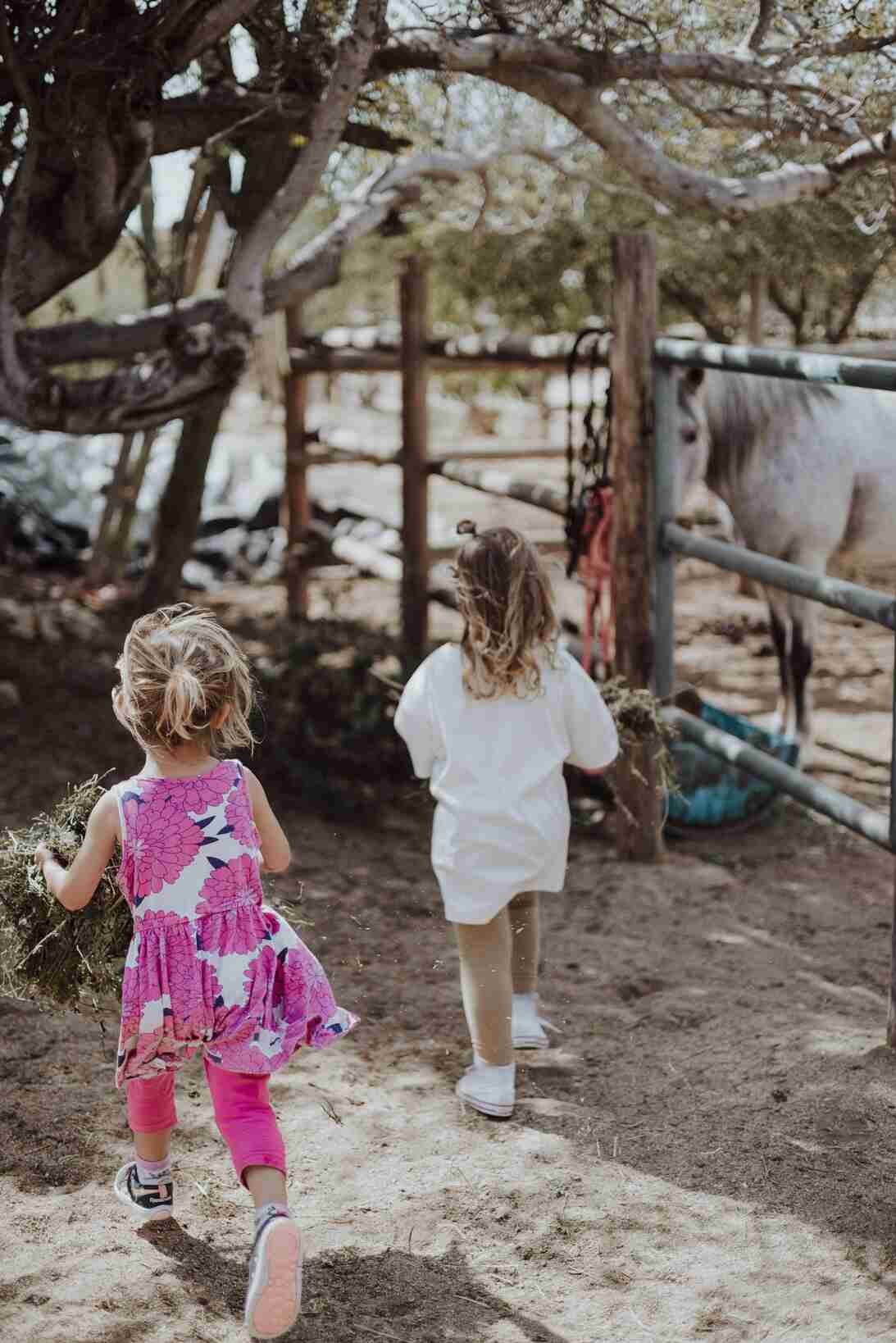 Children interacting with a pony