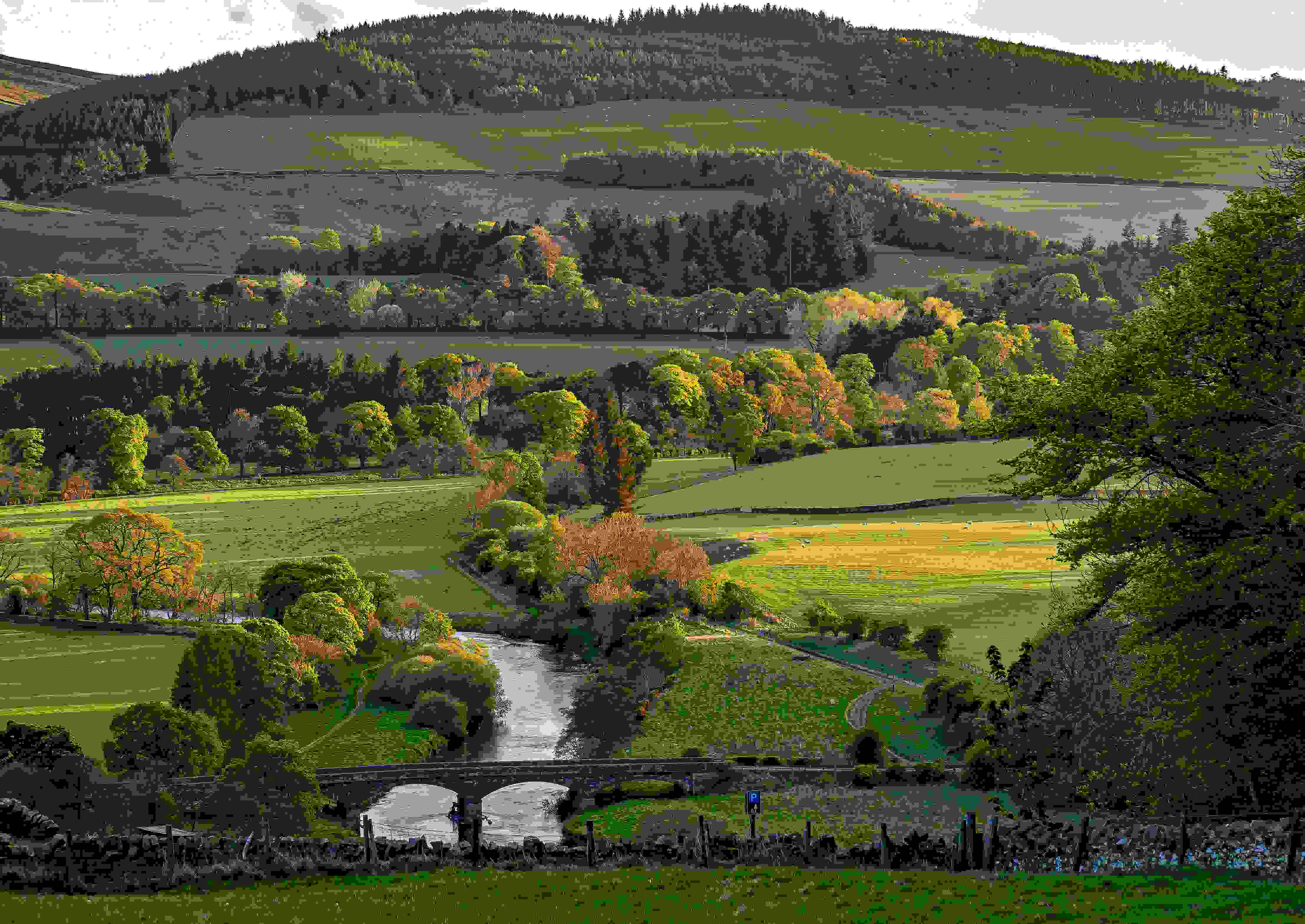 Landscape of the Scottish Borders